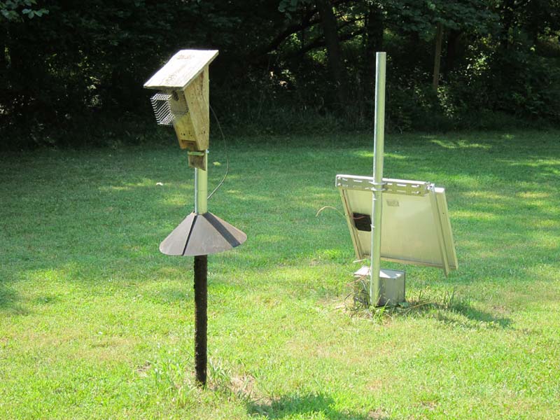 Blue Bird Cam House Nest Box